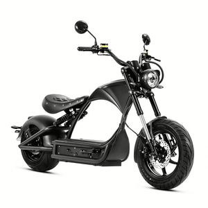 EAhora M1P Pro Dual Battery Electric Motorbike