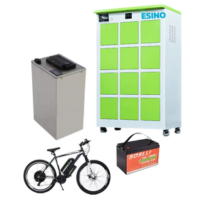 Outdoor Auto Rickshaw Swappable Battery Station
