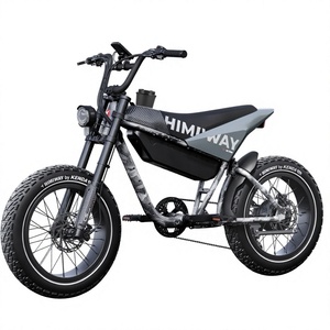 750W 80km/h Off-Road Electric Motorcycle