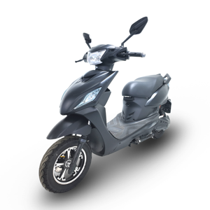 Electric Delivery Motorcycle Bike 2 Wheels Fast Electrical Scooter