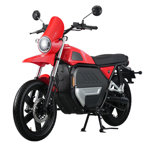 Adults High Power 4000W Electric Motorcycle 80KM/H Off-Road E-Motor Dual Battery 120KM Range Electric Motorcycle