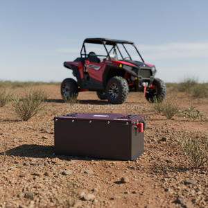 Off-road Vehicle 51.2V 171Ah LiFePO4 Semi-solid State Lithium Ion Buggy Battery Pack
